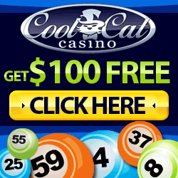 CoolCat - Play Bonus Bingo with $100 Free